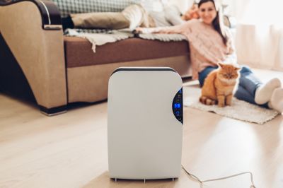 Dehumidifier Repair in Sarasota, FL